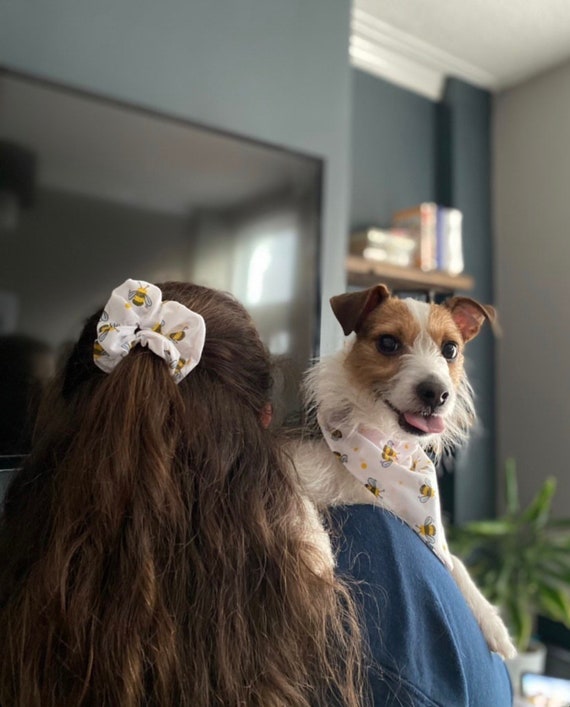 Dog and sales human matching bandanas