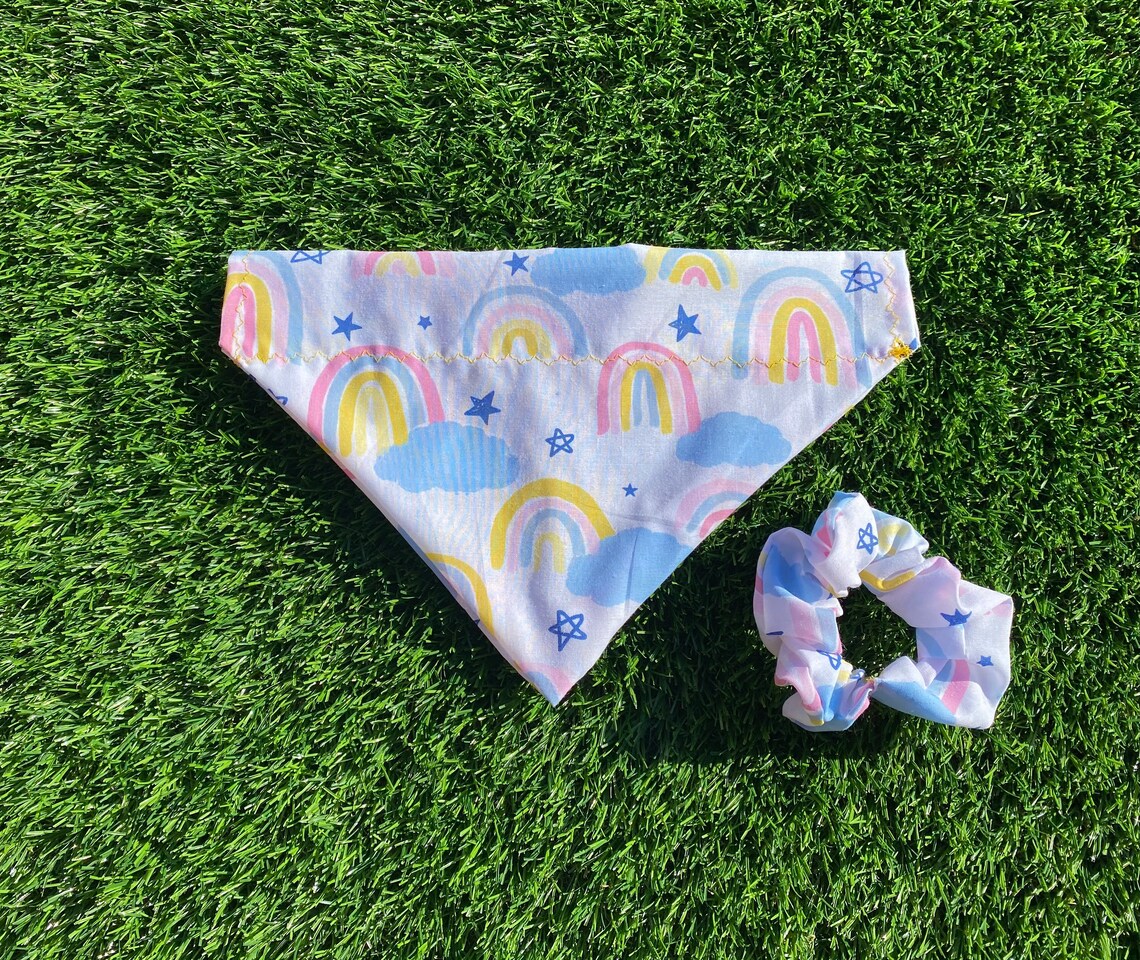 dog bandana and scrunchie set