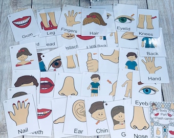 Human body part 40 large flash cards, student homeschool activity kids, busy work, Digital printable download