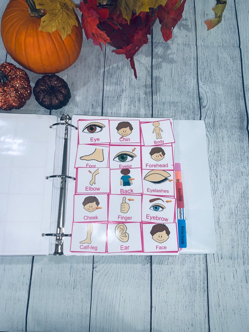 Pictures Card Binder Kit Pictures Cards Kit 250 Speech Etsy