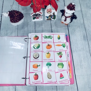 communicatie met speciale behoeften Fotokaart, kit, spraak, OT-therapie, autisme, flashkaarten Montessori-routine, schema kind cadeau-idee