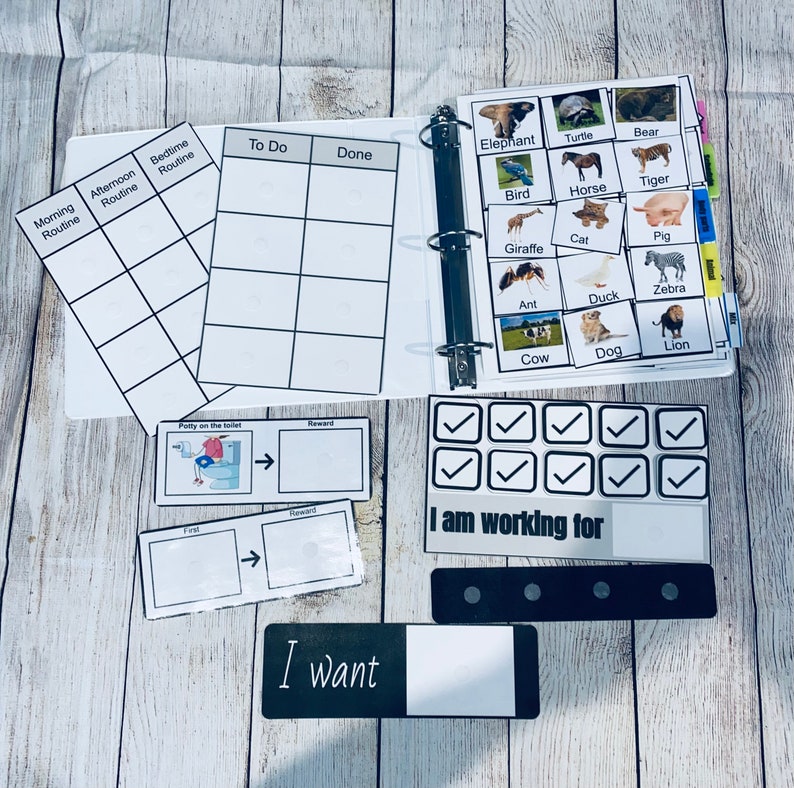 Pictures Card Binder Kit Pictures Cards Kit 250 Speech Etsy