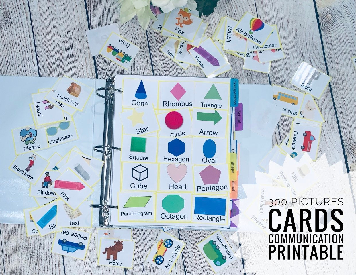 Autism Communication Pictures Cards, Bundle of 300, Speech Therapy, ABA ...