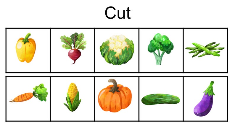 Toddler, Preschool Busy Work, Vegetables and Fruits Sorting Matching ...