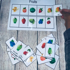Toddler, Preschool Busy Work, Fruits Sorting Matching , Montessori ...