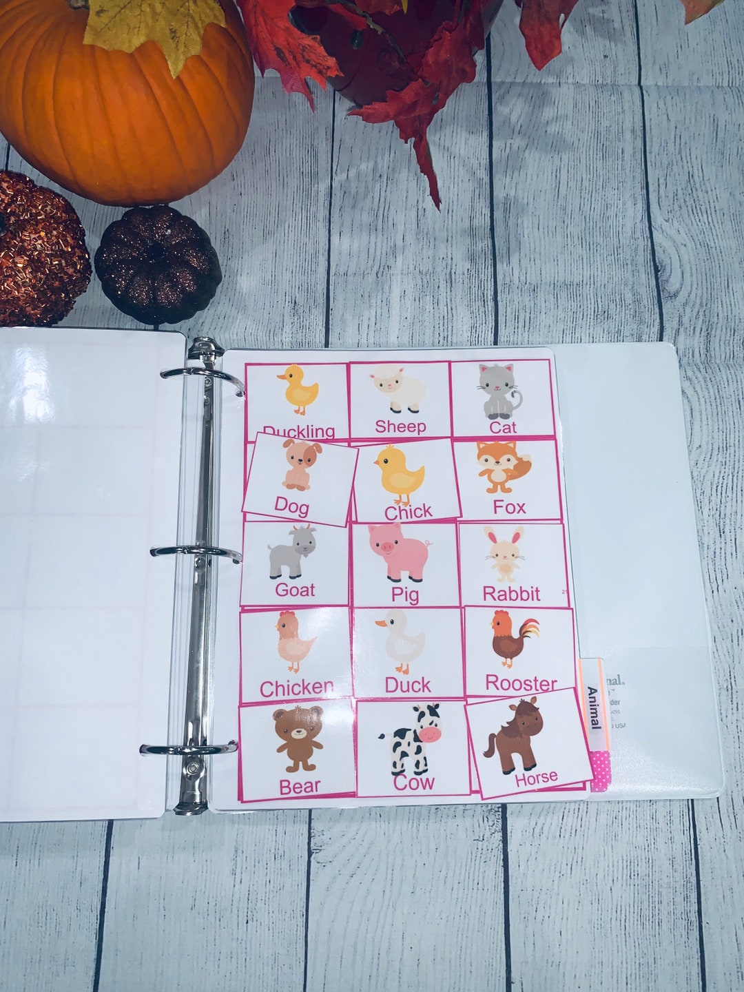 Pink 200 Loose Pec Bundle Pictures Card for Communication, Pictures ...