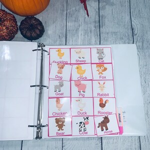 roze 200 losse borstzakjes fotokaart voor communicatie, fotokaarten, logopedie, autisme, speciale behoeften, schema, (uitverkoop