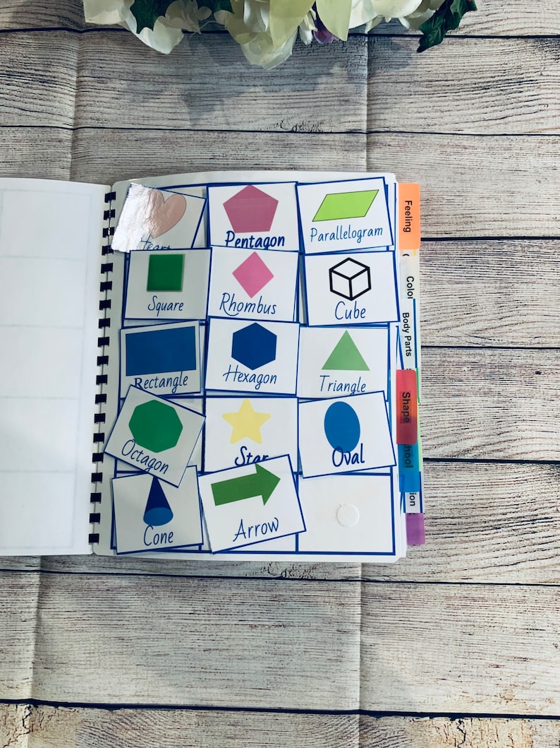 Pictures Card Binder Kit Pictures Cards Kit 250 Speech Etsy