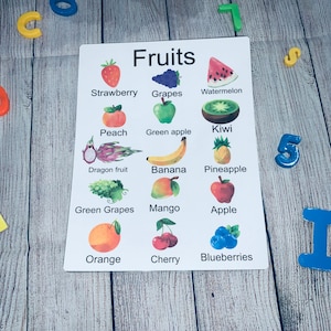 Früchte Poster Wand Art Printable, Montessori Klassenzimmer Dekoration, lernen, Kleinkind Vorschulkind homeschool, Lehrerzentrum