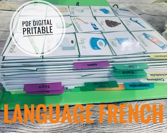 1,000 pec French Picture Cards for Communication, Speech Therapy, Autism, Nonverbal, Special Needs, Schedule Visual Aids, Download