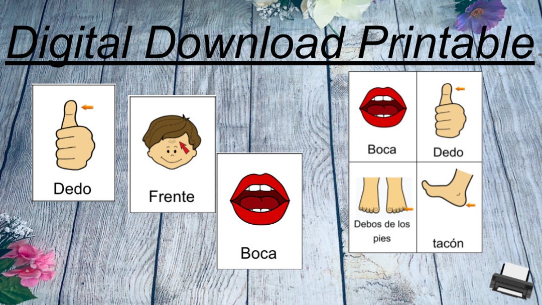 Spanish Learn Human Body Part 40 Large Flash Cards Student - Etsy