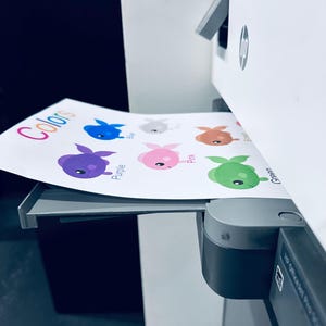 pôster de parede de cores de peixe para impressão, pôster de sala de aula montessori, aprenda cores, educação infantil em casa, decoração de sala de aula, professor