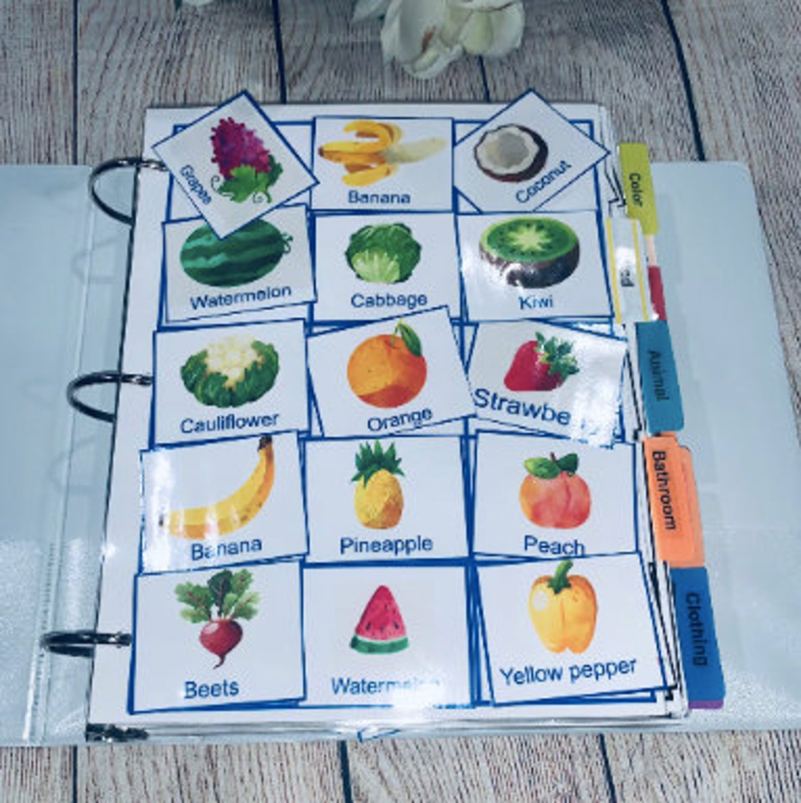 1,000 Pictures Card for Communication, Speech Therapy, Autism Nonverbal ...