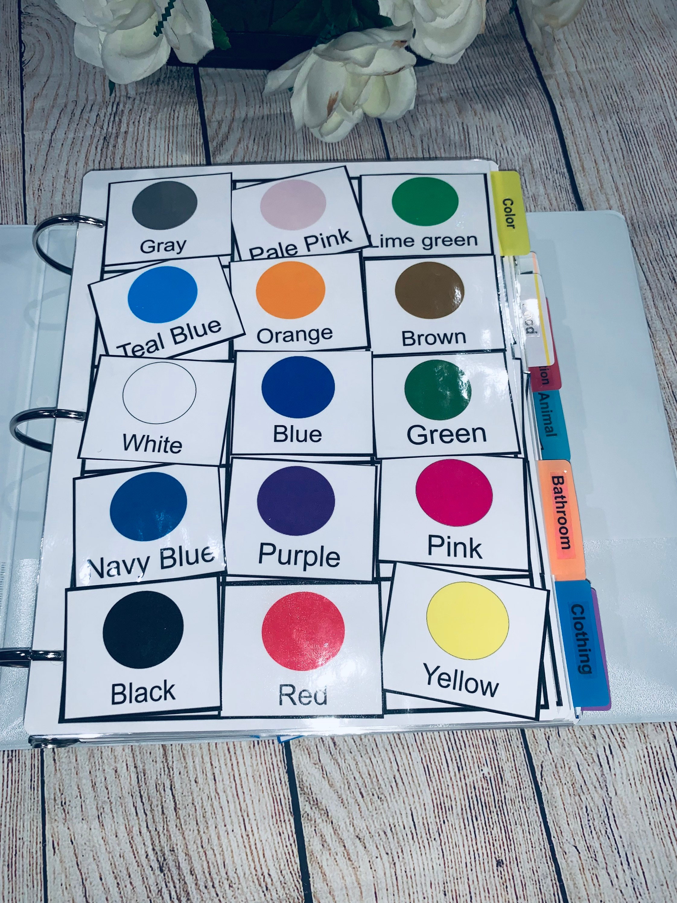 1,000 Pictures Card for Communication, Speech Therapy, Autism Nonverbal ...