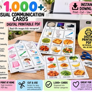 1.000 cartões ilustrados PEC para comunicação, terapia da fala, autismo não verbal, necessidades especiais, auxílios visuais para agendamento (download digital).