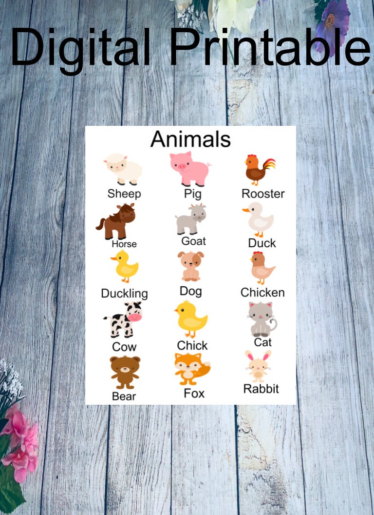 Shapes, Colors, Animal 6 Poster Wall Art Printable, Montessori ...