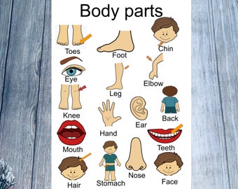 body parts, poster wall Art Printable, montessori Classroom decoration, Learn ,toddler preschooler homeschool, teacher center