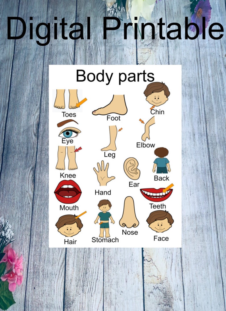 Body Parts, Poster Wall Art Printable, Montessori Classroom Decoration, Learn ,toddler