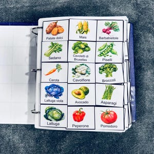 300 Italian Picture Communication Cards | Autism, Special Needs, Speech Therapy, ABA, DTT Visual Schedul,Routine Learning