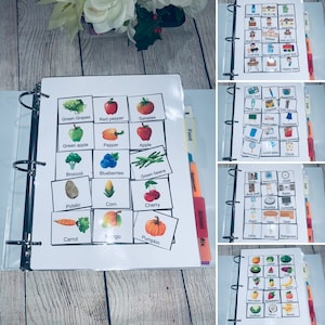 autisme communicatie fotokaarten boek of mapbundel van 300, logopedietherapie, educatieve kinderen, speciale behoeften, DTT, therapie