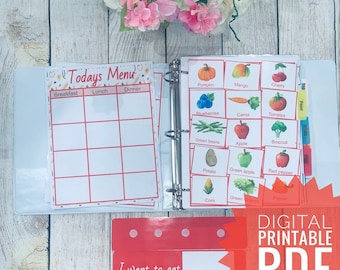 400 red food therapy, meal plan, kids/adult Pictures card for communication  Speech,Autism, special need ,Schedule, Montessori, digital PDF