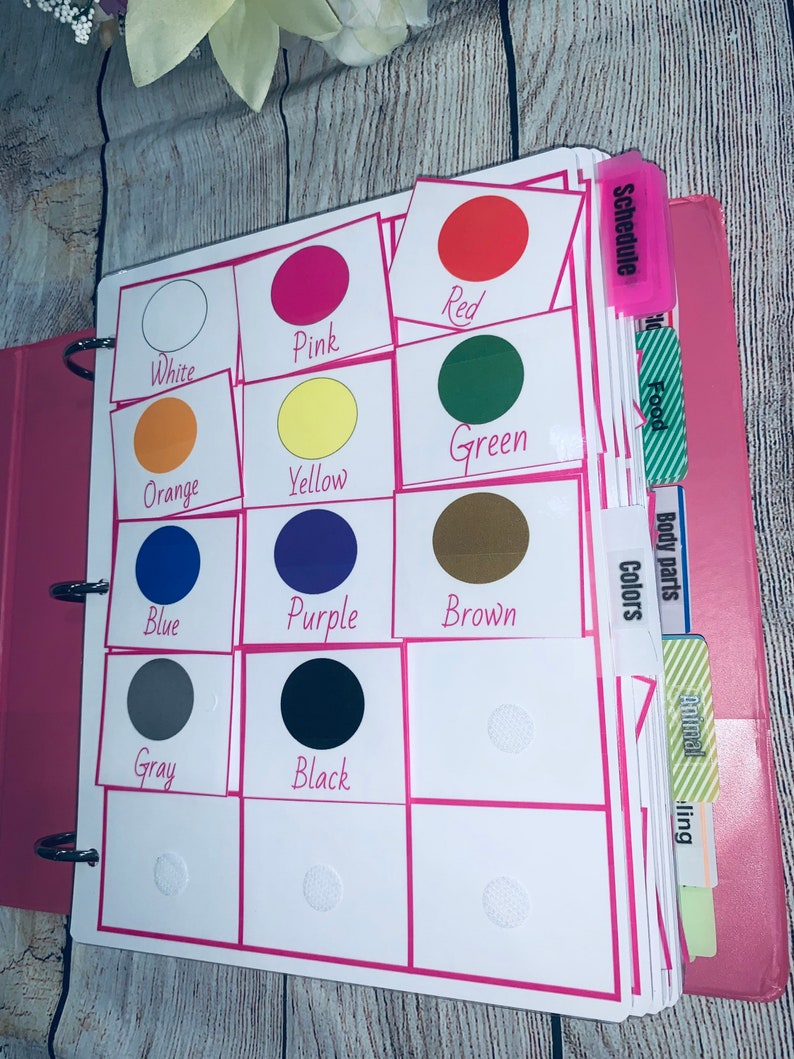 400 Pictures Card Binder Bundle, Speech Delay,aba, Therapy Autism Non Verbal ,special Need