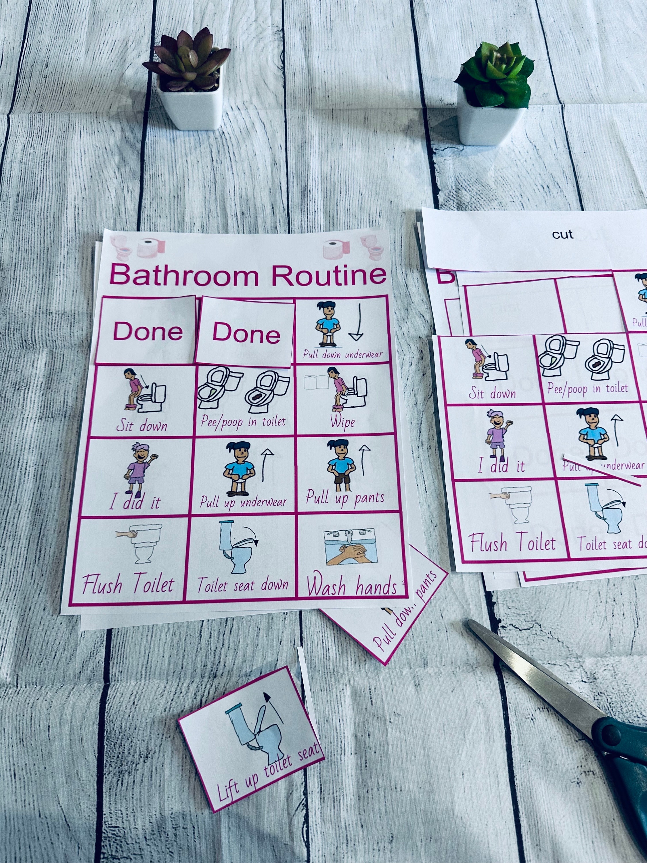 girl bathroom routine, schedule potty training, reward chart poster, cards for communication, interactive ,digital download printable (01