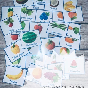 Pacote de 300 alimentos, bebidas, frutas de restaurante, vegetais, terapia alimentar, quadro de escolhas alimentares, livro de alimentos, auxílio visual, cartões de memória de alimentos para adultos/crianças