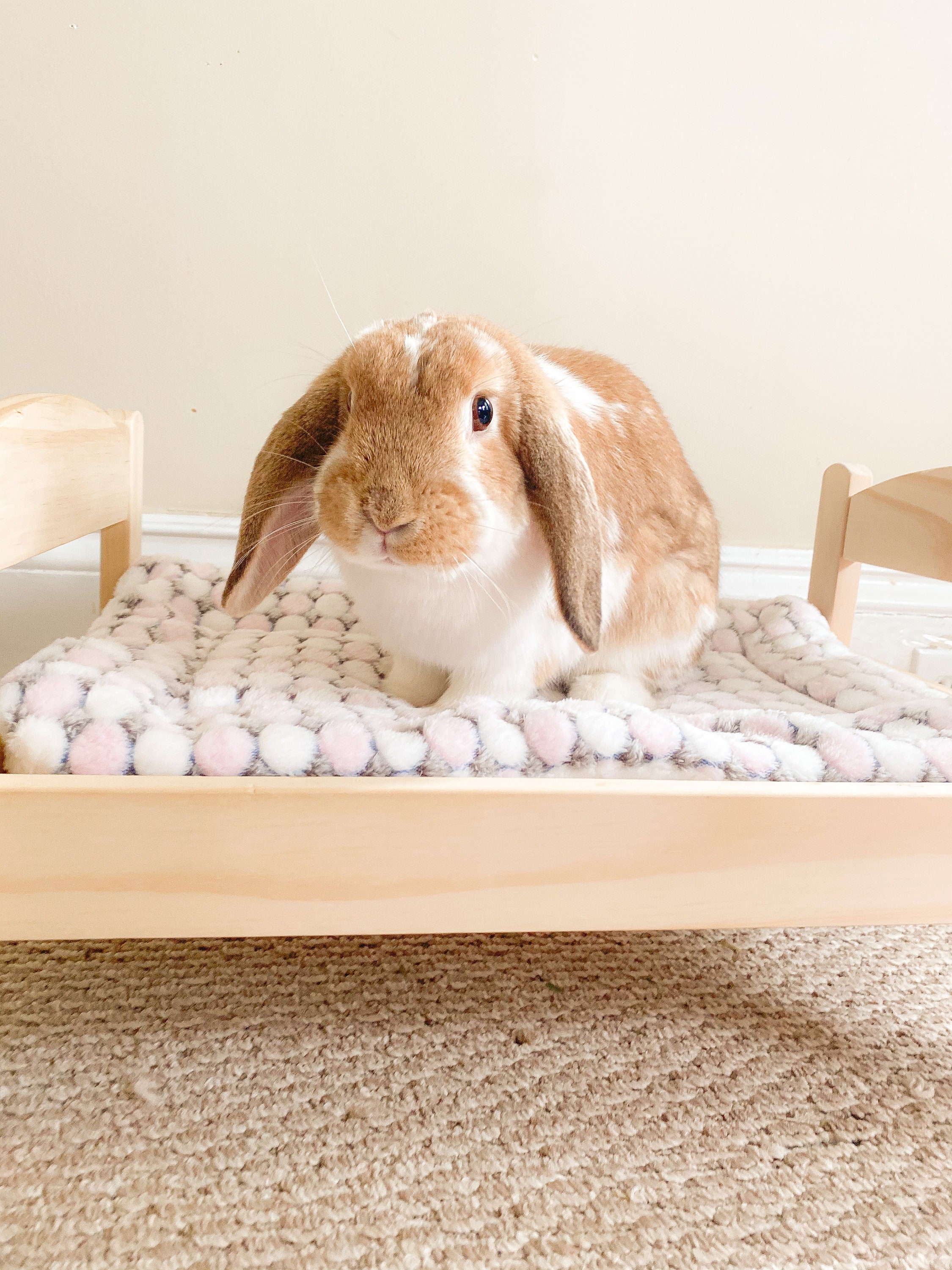 2pcs Summer Cooling Mat For Rabbit Washable Bunny Bed Pink 買い保障できる