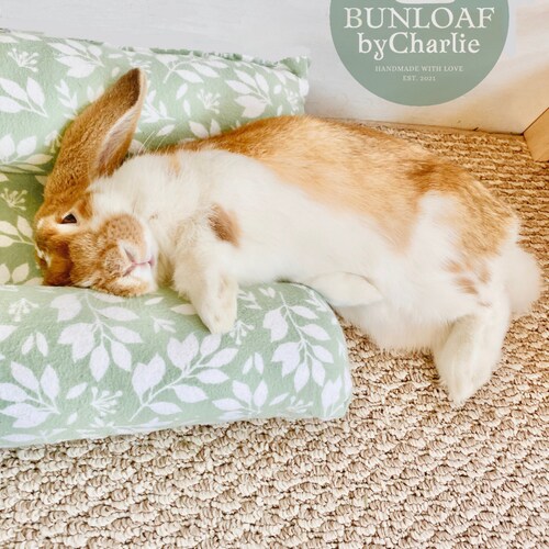 bunny cuddly