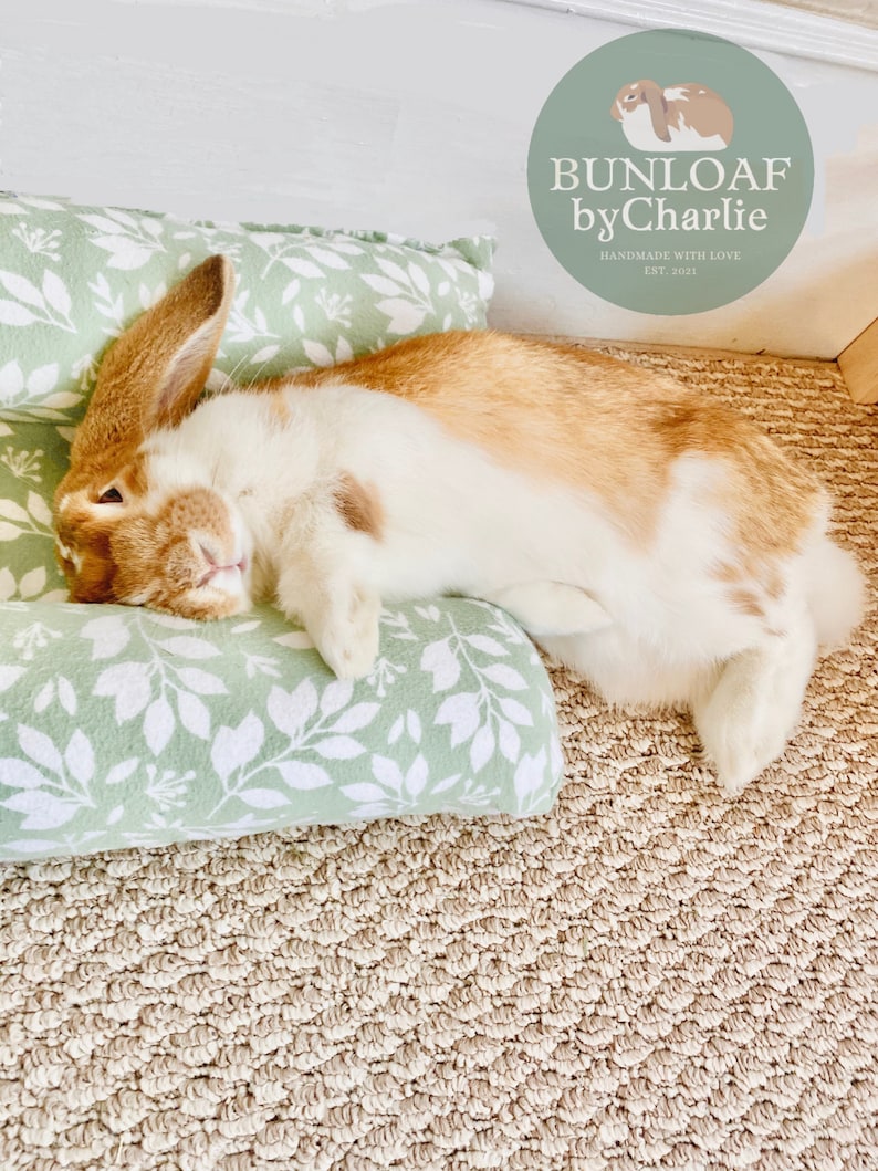K&ouml;nnte beinhalten: Ein wei&szlig;es und orangefarbenes Kaninchen liegt auf einem gr&uuml;nen Kissen mit wei&szlig;em Blatt-Muster. Das Kissen liegt auf einem beigefarbenen Teppich. Der Text "BUNLOAF by Charlie" befindet sich in einem Kreis &uuml;ber dem Kaninchen. Der Text "HANDMADE WITH LOVE EST. 2021" befindet sich unter dem Kreis.