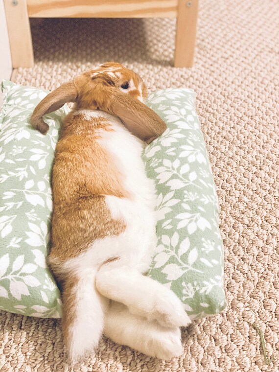 rabbit snuggle bed