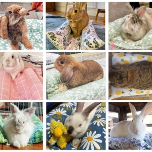 K&ouml;nnte beinhalten: Eine Sammlung von neun Bildern mit verschiedenen Kaninchenrassen, die auf verschiedenen gemusterten Bettw&auml;schen liegen. Die Bettw&auml;sche umfasst Blumen-, Ananas- und G&auml;nsebl&uuml;mchenmuster. Die Kaninchen sind wei&szlig;, braun und grau.