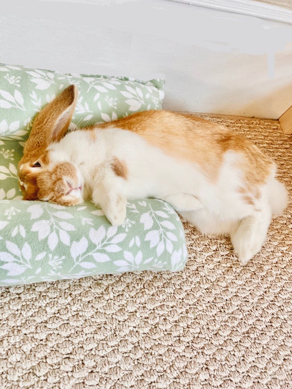 rabbit bed