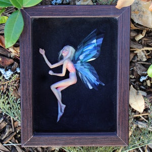 Dormant Faerie in Shadowbox