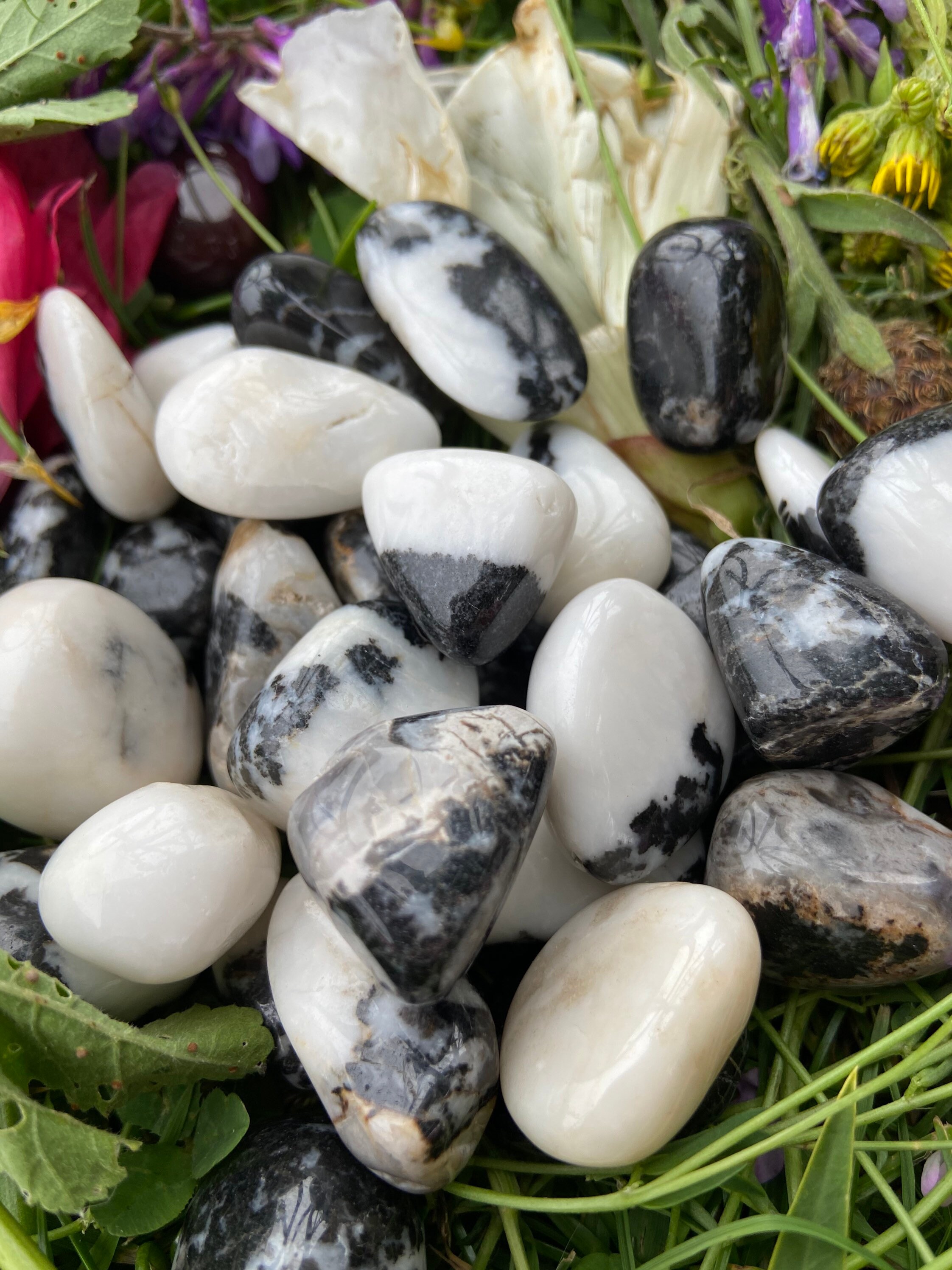 Zebra Jasper tumblestone healing crystal | Etsy