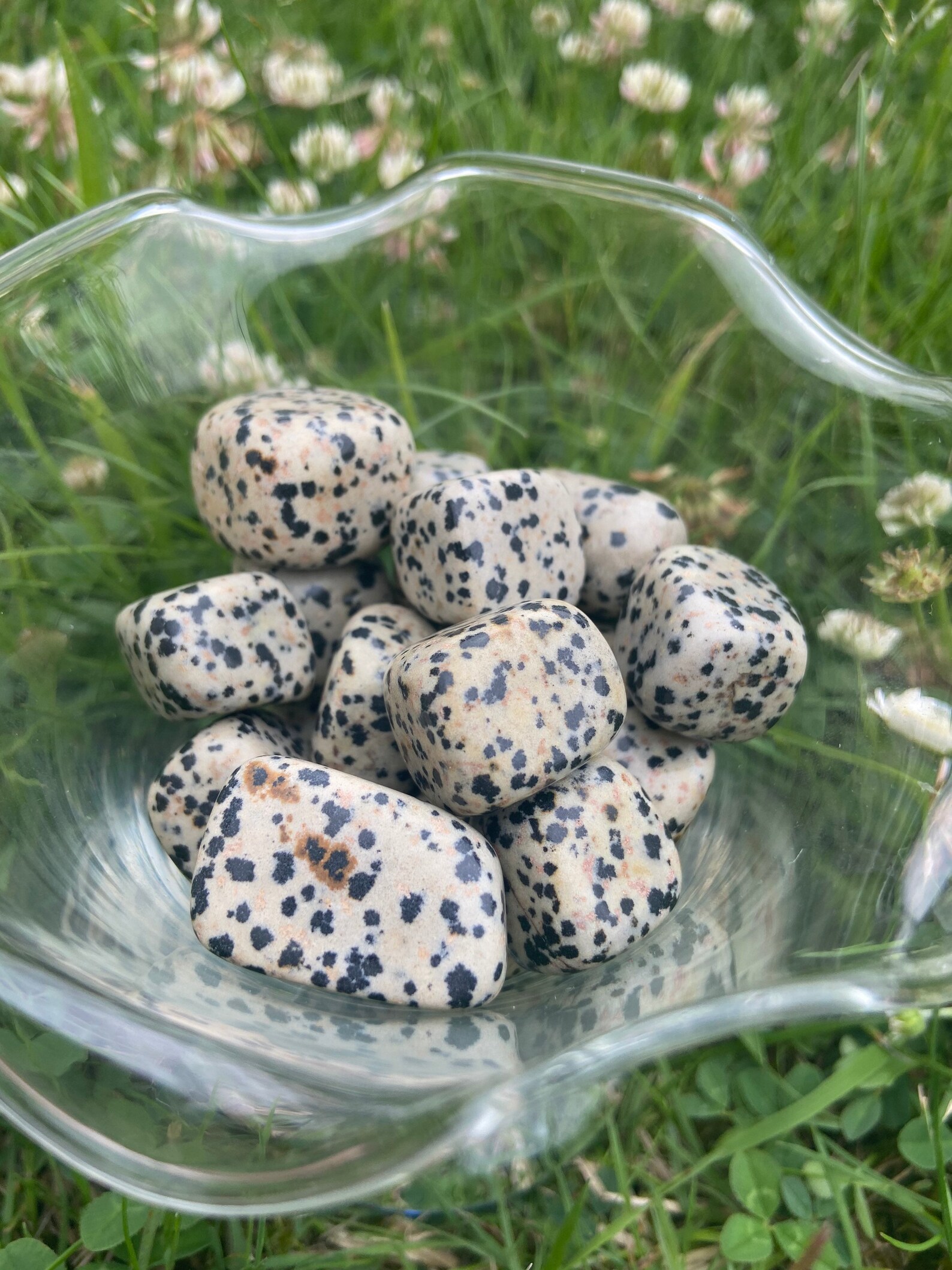 green dalmation jasper meaning green dalmation jasper meaning