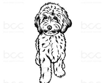 Hand-Drawn Doodle Dog SVG: Labradoodle Pet Portrait (Digital Download)