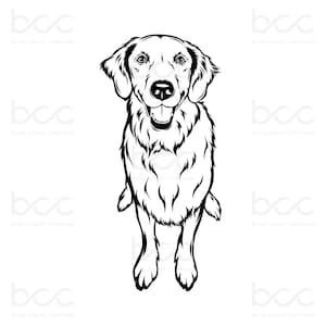 Golden Retriever Vector SVG Digital Download - Hand Drawn Golden Retriever Portrait, Dog SVG for DIY Crafts & Wedding Koozies