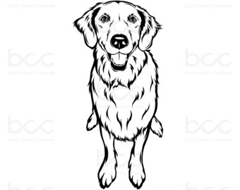 Golden Retriever Portrait SVG: Hand-Drawn Dog Vector (Digital Download)
