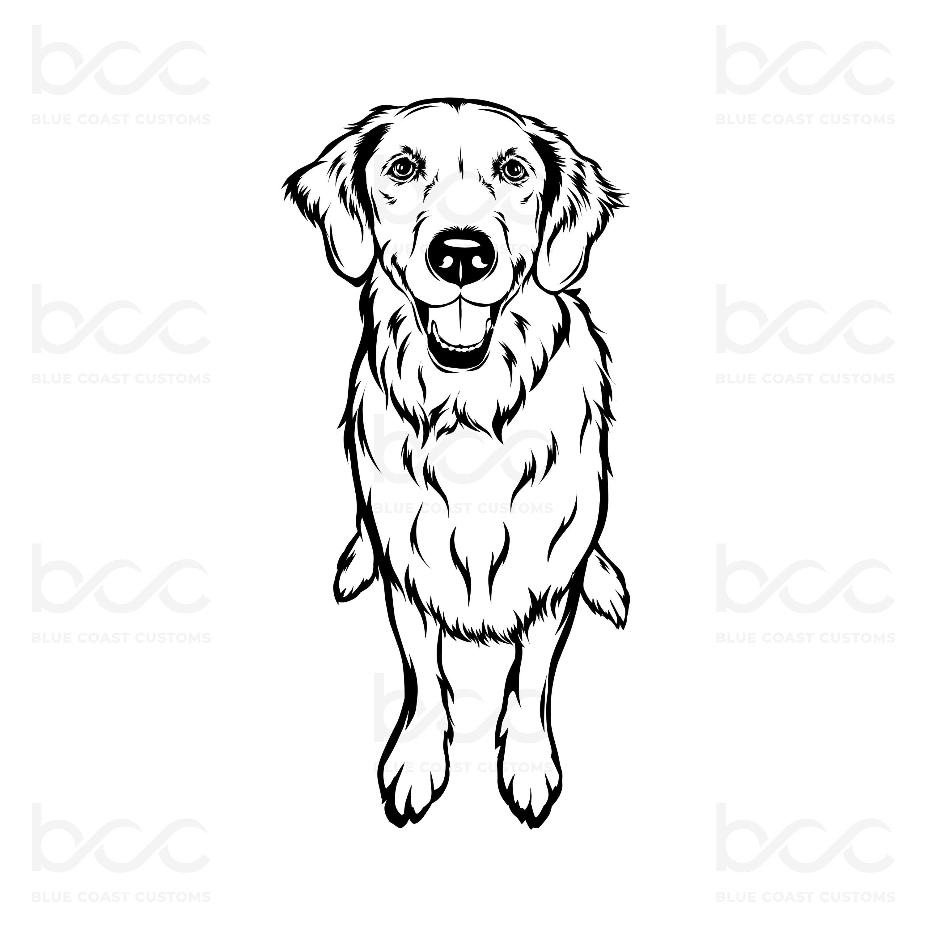 Golden Retriever Portrait SVG: Hand-drawn Dog Vector (digital Download ...