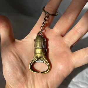 May include: A brass-toned metal keychain featuring a detailed, three-dimensional stag beetle charm. The beetle has a textured wing casing and prominent, curved mandibles at the base. The charm is attached to a standard circular metal split ring.