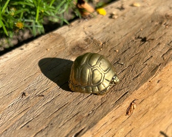 Small Brass Turtle