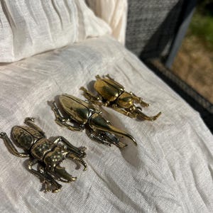 Puede incluir: Tres figuras de escarabajos de metal en tono dorado dispuestas en fila. Cada escarabajo presenta estructuras anatómicas detalladas, incluyendo patas segmentadas, cubiertas alares texturizadas y mandíbulas o cuernos prominentes con acabado de latón.