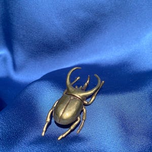 Brass Trypoxylus Japanese Rhinoceros Beetle