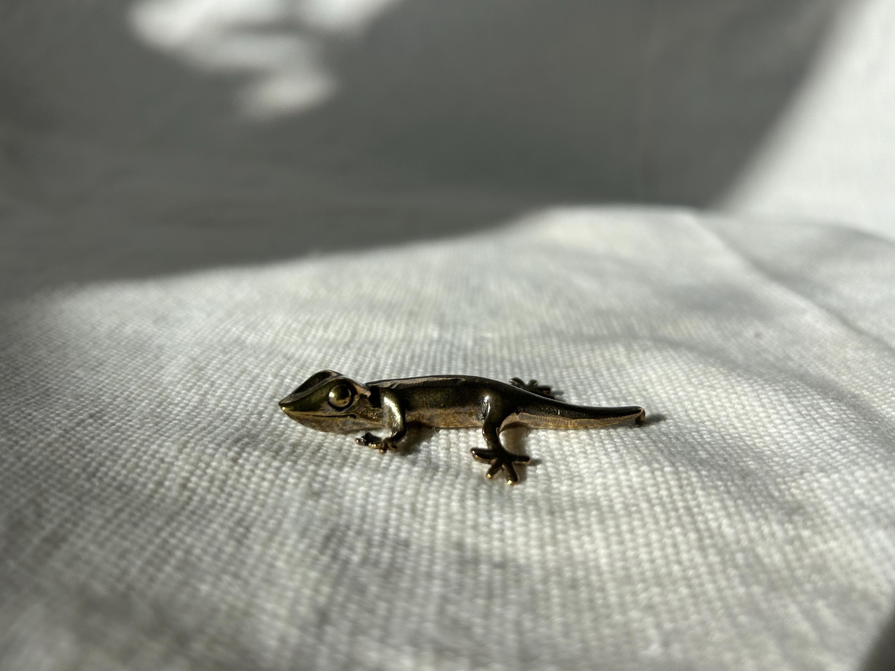 Sculpture Grenouille Et Lézards En Fil Métallique Torsadé – Art Mural Ou De Table Unique