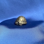 Turtle Home Decor