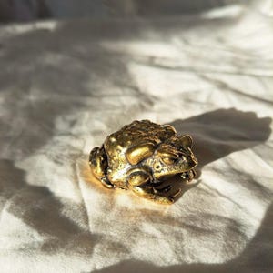 May include: A small, detailed golden frog figurine. The frog has a textured skin and is posed in a seated position. The figurine is made of a shiny, metallic material and is set against a neutral background.