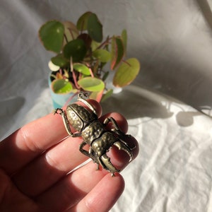 Vintage Brass Stag Beetle