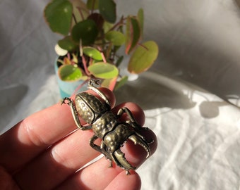 Vintage Brass Stag Beetle